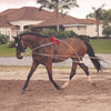 Pessoa - Pessoa Lunging System - Quail Hollow Tack