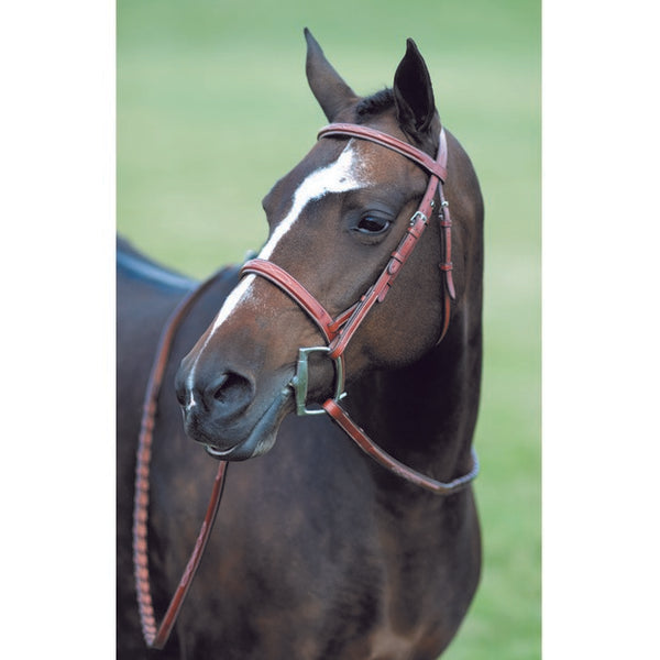 Pessoa - Fancy Wide Show Bridle With Laced Reins - Quail Hollow Tack