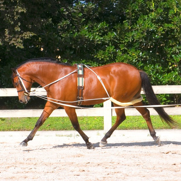 Pessoa - Pessoa Lunging System - Quail Hollow Tack