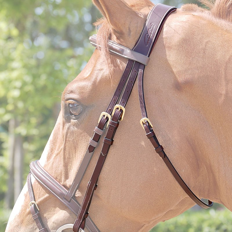 Dy'on - Anatomic Crownpiece - Quail Hollow Tack
